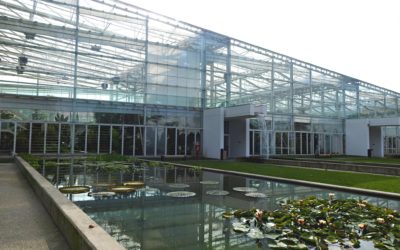 Orto Botanico di Padova: viaggio nella Biodiversità