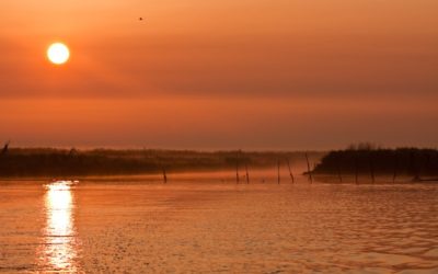 Delta del Po: tour straordinario alla scoperta della natura veneta