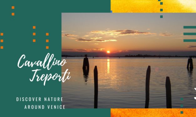 Cavallino Treporti, discover nature just a stone’s throw from Venice