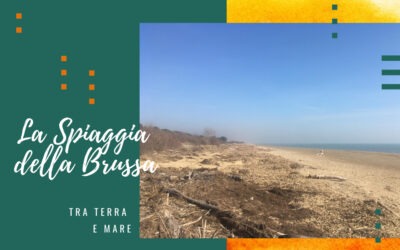 La spiaggia della Brussa: tra terra e mare