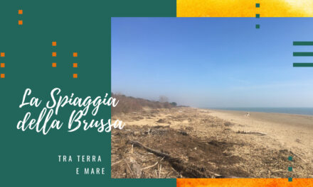 La spiaggia della Brussa: tra terra e mare