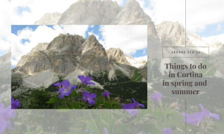 Things to do in Cortina in spring and summer