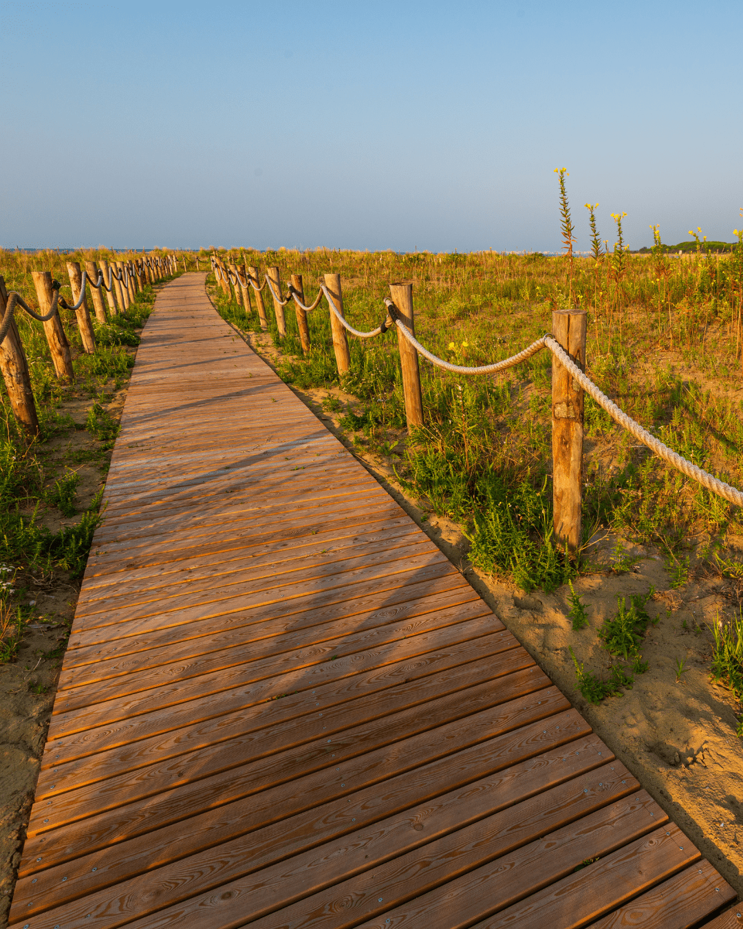 bibione pineta