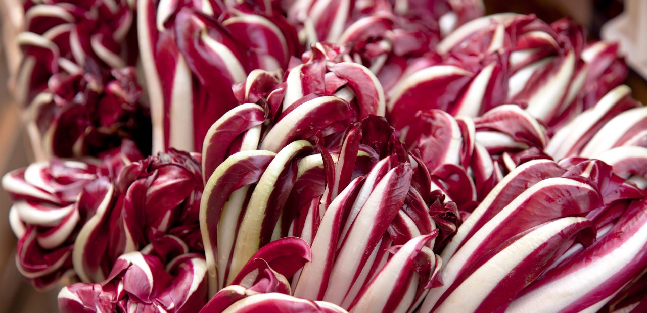 Eventi Culturali d'Autunno a Venezia e Veneto Orientale - radicchio