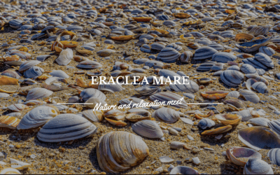 Eraclea Mare: where nature, sea, and tranquillity meet