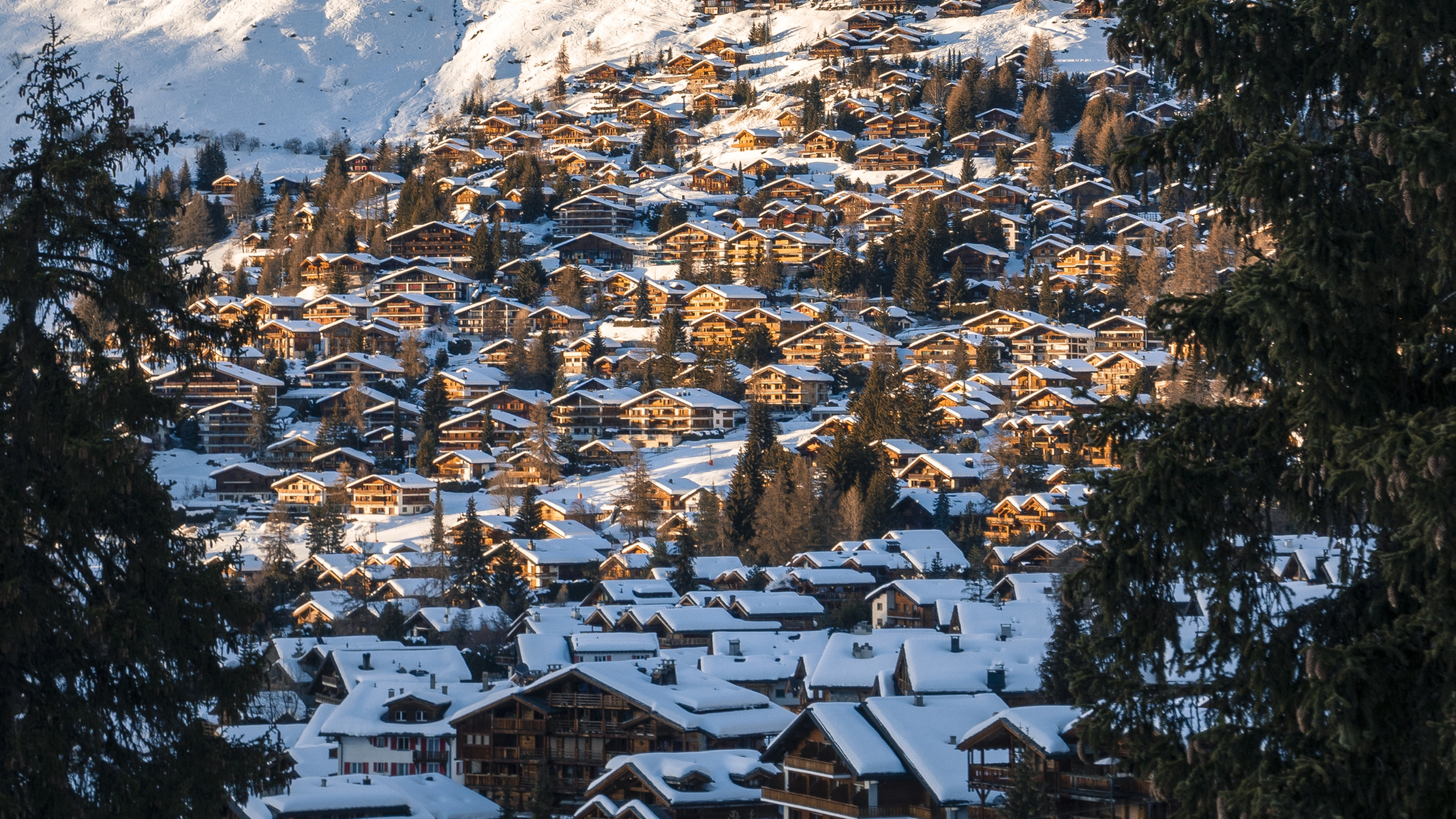 tra castelli scomparsi, amori letterari - cover Blog biennale architettura venezia 2025