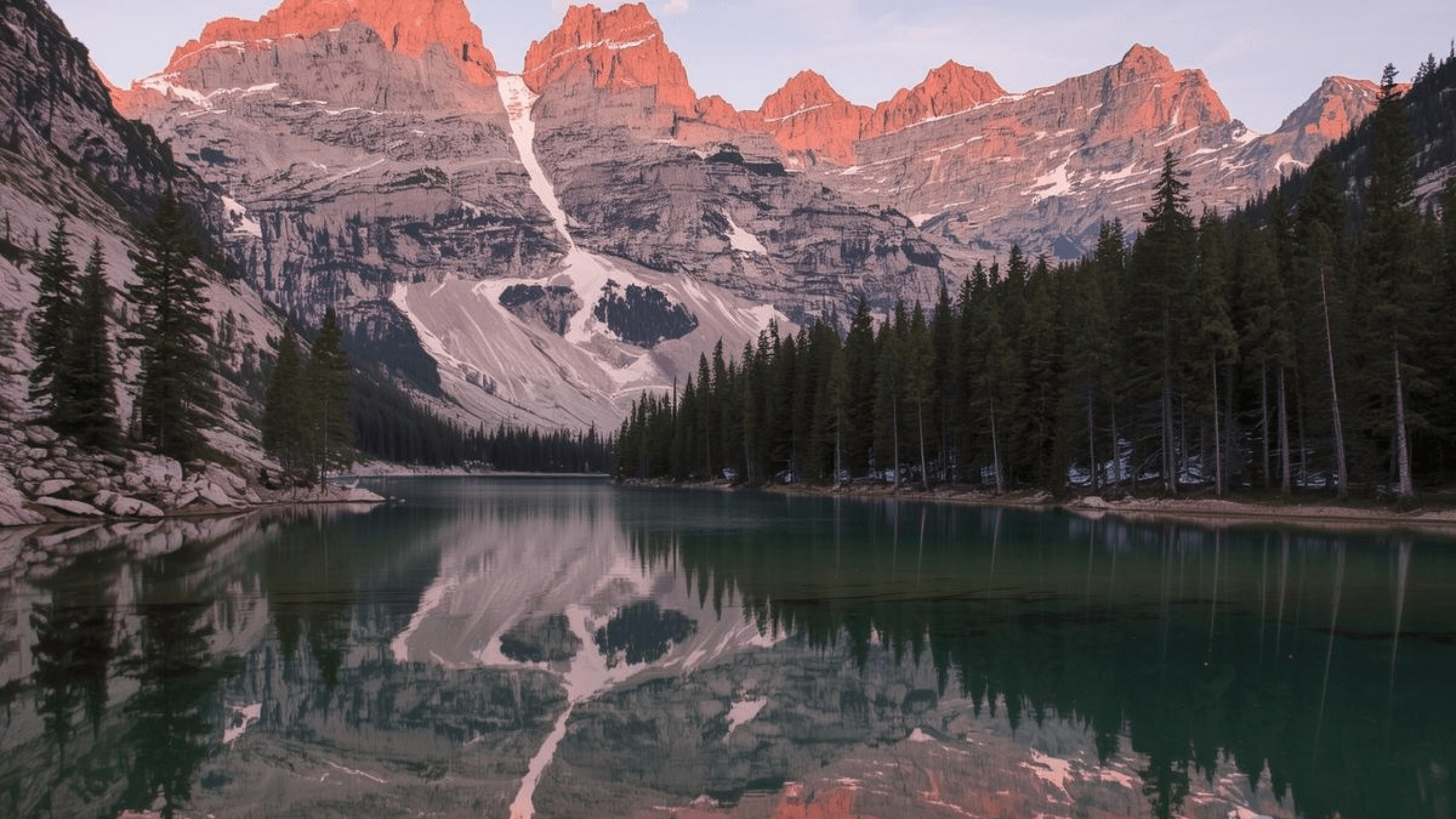 biennale architettura venezia 2025